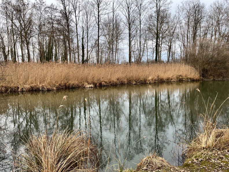 23-02-18 17-07-40 4281.jpeg